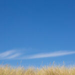 Summer Dunes fine art print