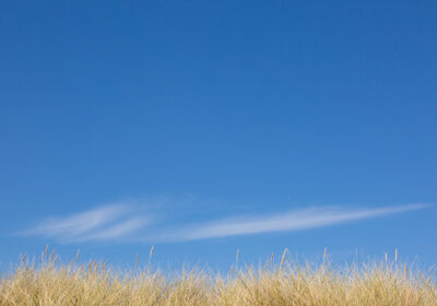Summer Dunes fine art print